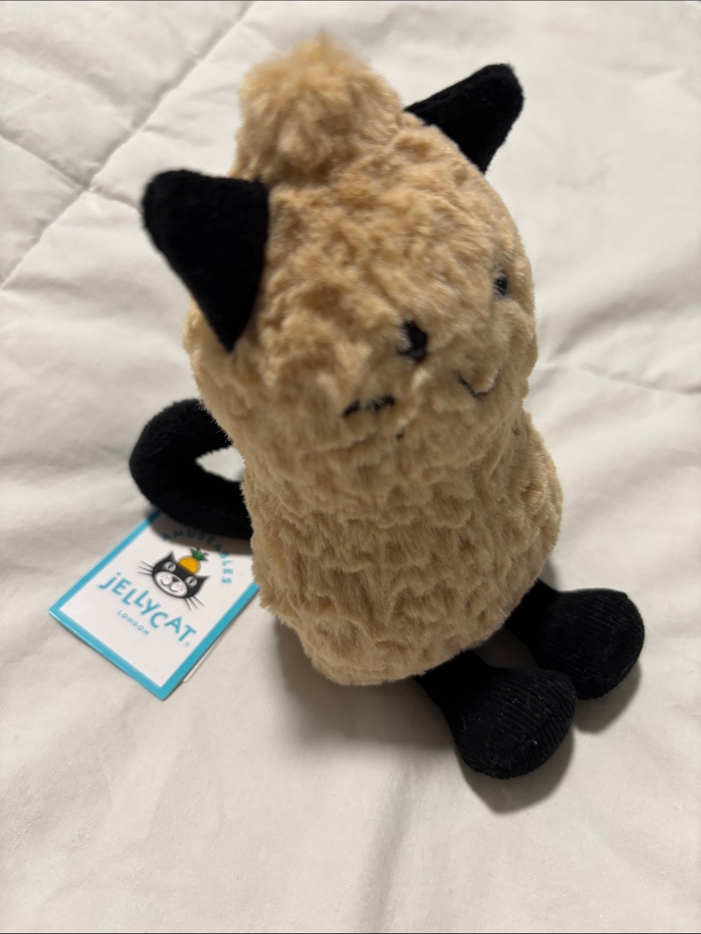 🐈⬛ Jellycat Official Amuseables Tan and Black Cat Peanut Outfit Plush Toy 🥜 - Picture 5 of 5